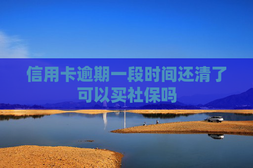信用卡逾期一段时间还清了可以买社保吗