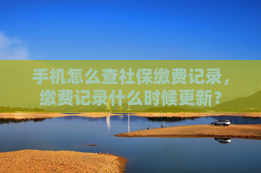 手机怎么查社保缴费记录，缴费记录什么时候更新？