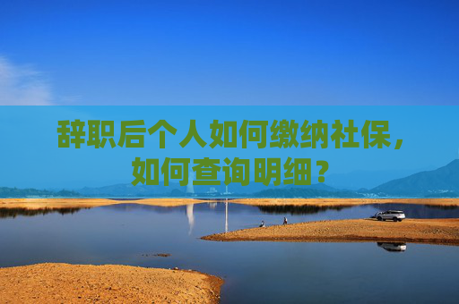 辞职后个人如何缴纳社保，如何查询明细？