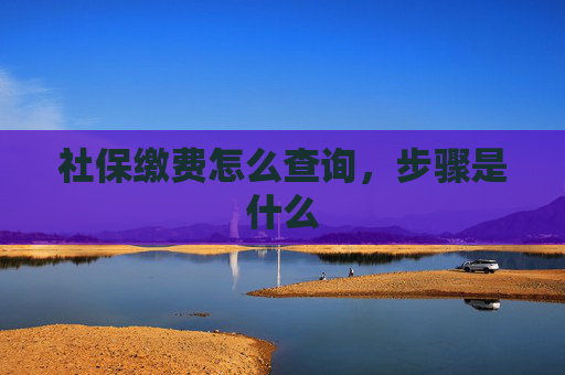 社保缴费怎么查询，步骤是什么