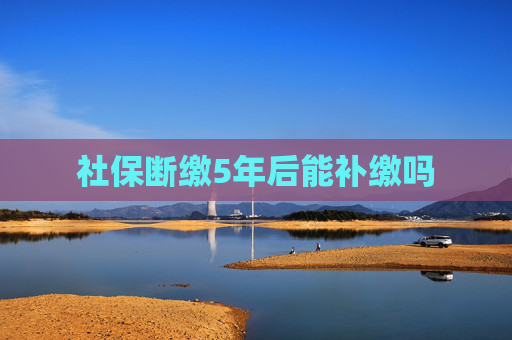 社保断缴5年后能补缴吗