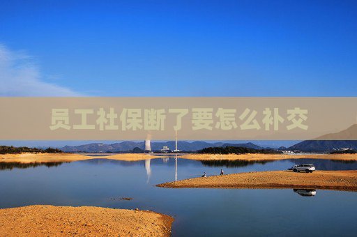 员工社保断了要怎么补交