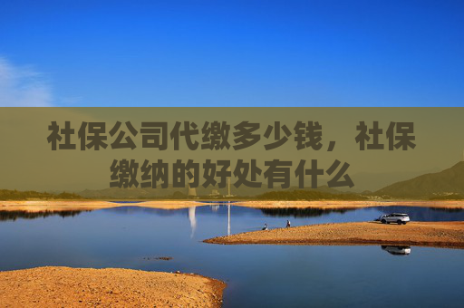 社保公司代缴多少钱，社保缴纳的好处有什么