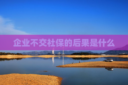 企业不交社保的后果是什么