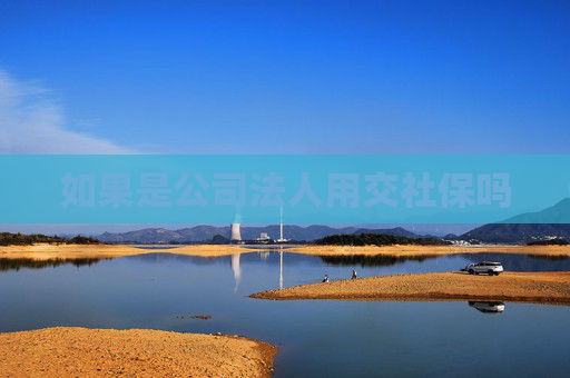 如果是公司法人用交社保吗