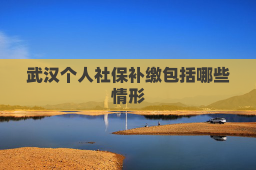 武汉个人社保补缴包括哪些情形