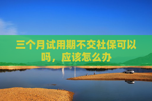三个月试用期不交社保可以吗，应该怎么办