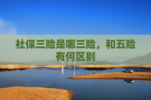 社保三险是哪三险，和五险有何区别