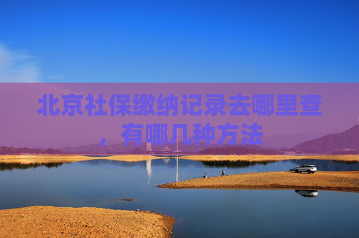 北京社保缴纳记录去哪里查，有哪几种方法