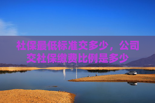 社保最低标准交多少，公司交社保缴费比例是多少