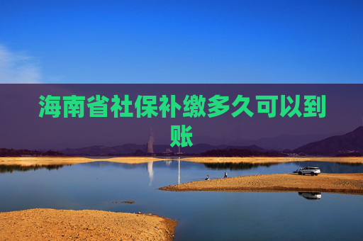 海南省社保补缴多久可以到账