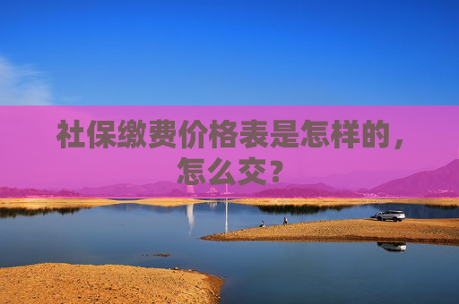 社保缴费价格表是怎样的，怎么交？
