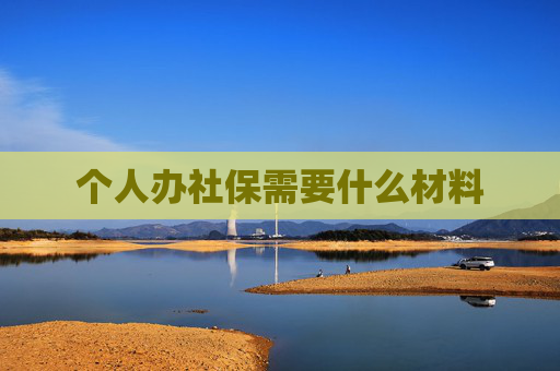个人办社保需要什么材料