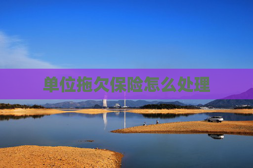 单位拖欠保险怎么处理