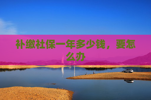 补缴社保一年多少钱，要怎么办