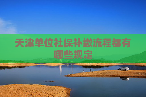 天津单位社保补缴流程都有哪些规定