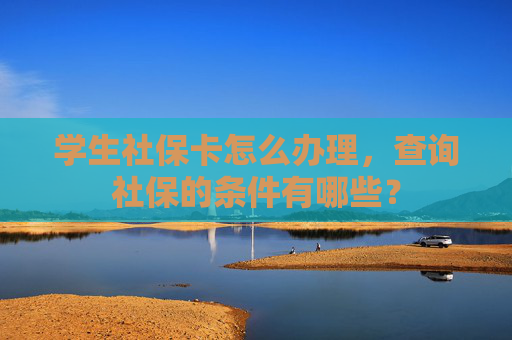 学生社保卡怎么办理，查询社保的条件有哪些？
