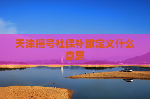 天津摇号社保补缴定义什么意思
