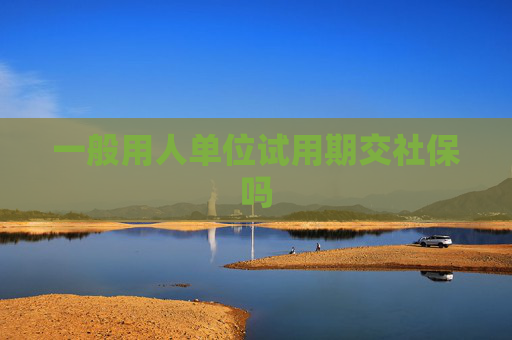 一般用人单位试用期交社保吗