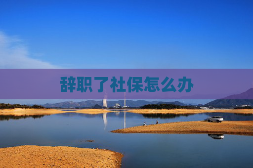 辞职了社保怎么办