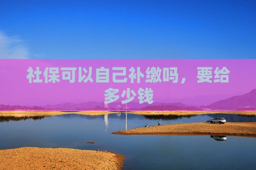 社保可以自己补缴吗，要给多少钱