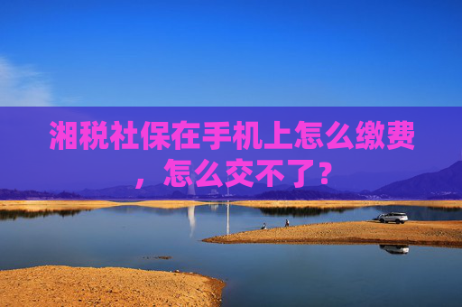 湘税社保在手机上怎么缴费，怎么交不了？
