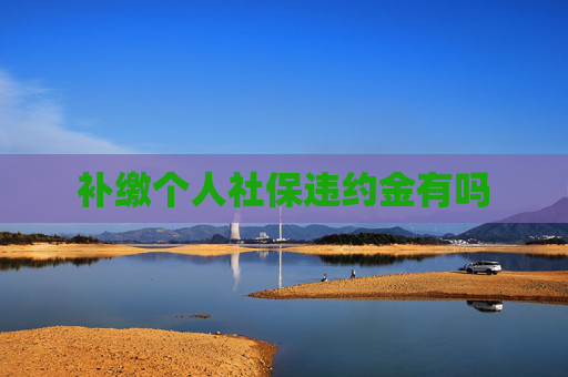 补缴个人社保违约金有吗