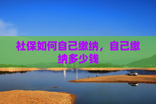 社保如何自己缴纳，自己缴纳多少钱