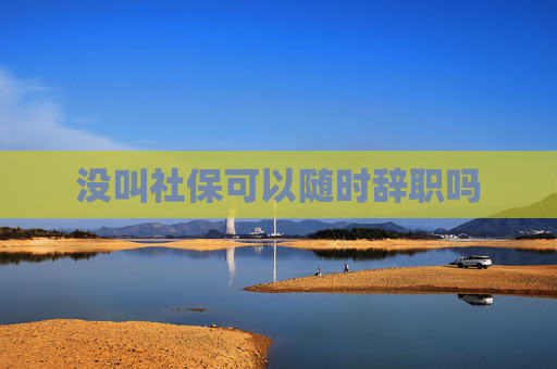 没叫社保可以随时辞职吗
