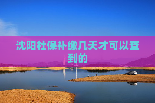 沈阳社保补缴几天才可以查到的