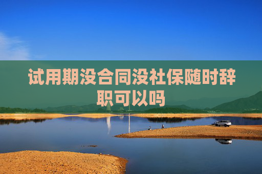 试用期没合同没社保随时辞职可以吗