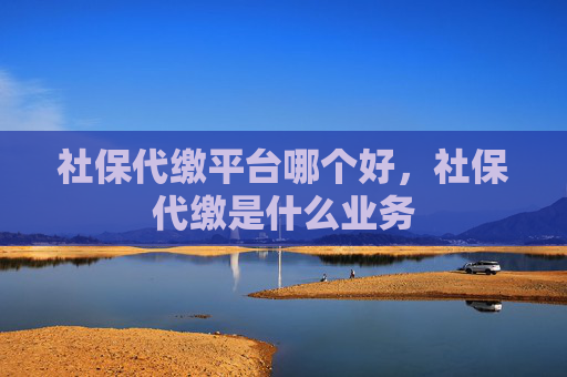 社保代缴平台哪个好，社保代缴是什么业务