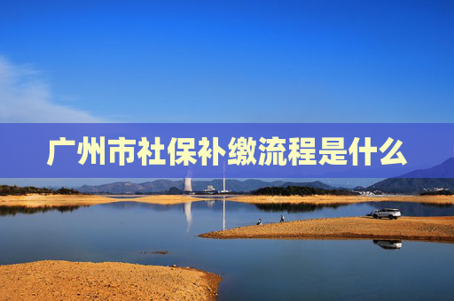 广州市社保补缴流程是什么