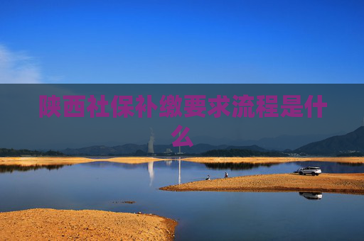 陕西社保补缴要求流程是什么