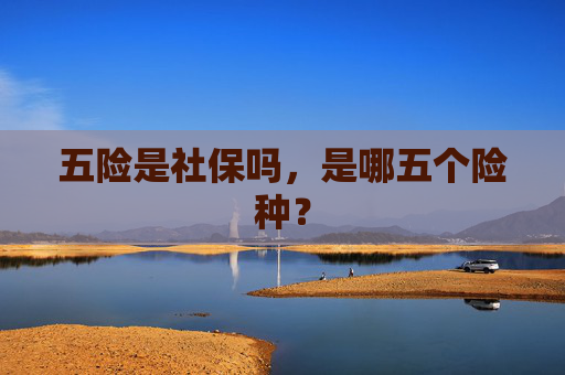 五险是社保吗，是哪五个险种？