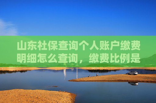山东社保查询个人账户缴费明细怎么查询，缴费比例是多少