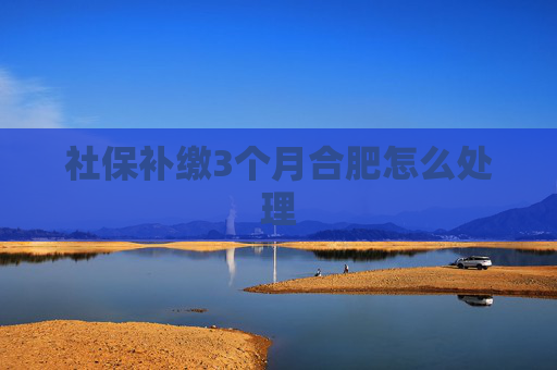 社保补缴3个月合肥怎么处理