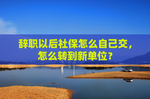 辞职以后社保怎么自己交，怎么转到新单位？