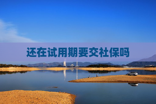 还在试用期要交社保吗