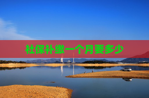 社保补缴一个月要多少