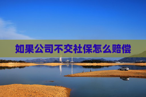 如果公司不交社保怎么赔偿