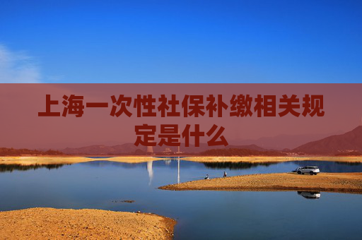 上海一次性社保补缴相关规定是什么