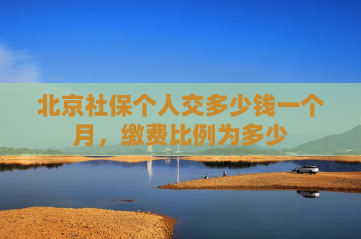 北京社保个人交多少钱一个月，缴费比例为多少