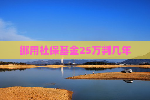 挪用社保基金25万判几年