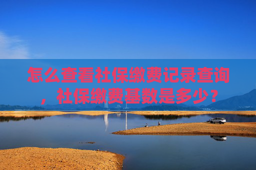怎么查看社保缴费记录查询，社保缴费基数是多少？