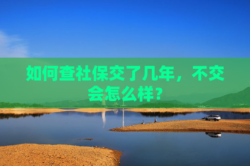 如何查社保交了几年，不交会怎么样？
