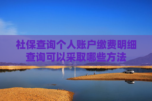 社保查询个人账户缴费明细查询可以采取哪些方法