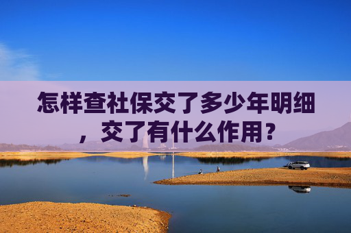怎样查社保交了多少年明细，交了有什么作用？