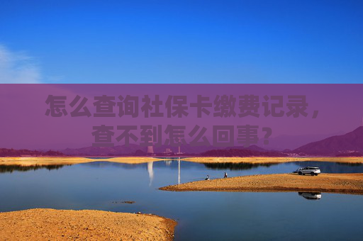 怎么查询社保卡缴费记录，查不到怎么回事？