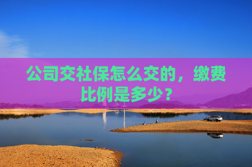 公司交社保怎么交的，缴费比例是多少？